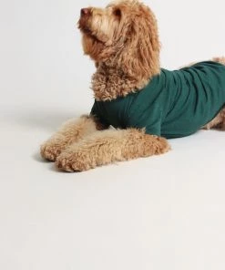 OSS What's Trending Walter Doggy Tee