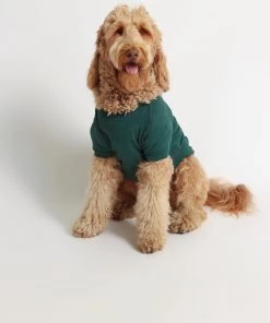 OSS What's Trending Walter Doggy Tee